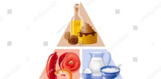 Food infographic – Vector illustration of food and drink pyramid infographics with abstract templat…