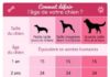 Food infographic – Vous pensiez connaître l’âge humain de votre chien ? Vous aviez tort !