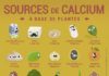 Food infographic – Végétaux : les aliments les plus riches en calcium