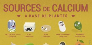 Food infographic – Végétaux : les aliments les plus riches en calcium