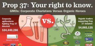 Food infographic – Why would a company with an organic food brand oppose Proposition 37?