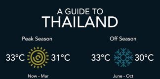 Food infographic – Your Essential Travel Guide to Hawaii (Infographic)