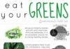 Food infographic – font,brand,GREENS,Smokemesweati,tumblr,