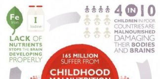 Food infographic – obese children tips, Indicators & Symptoms and exactly how to conquer normally a…