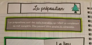 Management : CM1/CM2 • Français • Leçons à manipuler ~