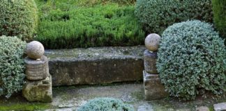 Management : Des plantes faciles qui résistent au manque d’eau