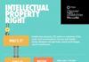 Management : Intangible, but matters. Which ones belong to intellectual property? This infog…