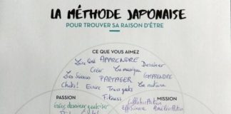 Management : L'Ikigai d'EfferveScience, à toi de jouer : construit le tien, trouve t…