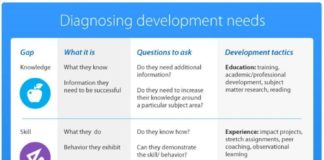 Management : Management : Diagnosing Employee Development Needs Infographic – InfographicNow.com | Your Number One Source For daily infographics & visual creativity