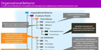 Management : Management : Organizational Behavior Infographic – InfographicNow.com | Your Number One Source For daily infographics & visual creativity