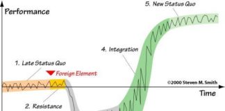 Management : Management : The SATIR CHANGE MODEL: these patterns occur within any group of people who are …