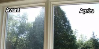 Management : Nettoyer les Carreaux Sans Traces : Mon Astuce Efficace & Naturelle.