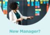Management : New Manager? Effective Tips for Embracing Your New Role