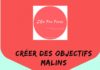 Management : ZEn Pro Perso – Comment (se) fixer des objectifs MALINS ?