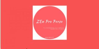Management : ZEn Pro Perso – Comment (se) fixer des objectifs MALINS ?