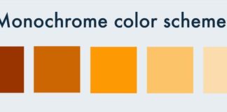 Psychology : 10 Expert Tips on How to Choose Color Schemes for Your Infographics