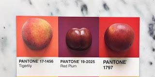 Psychology : 992 couleurs – un pantone