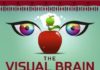 Psychology : Colours of Our World -The Visual Brain