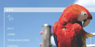 Psychology : Como A Teoria das Cores Pode Deixar Seu Site Mais Incrível