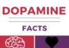 Psychology : Dopamine facts Infographic