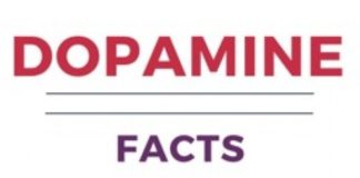 Psychology : Dopamine facts Infographic
