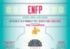 Psychology : ENFP #Infographic #- #Facts #and #Stats #about #the #ENFP #personality #type