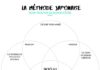 Psychology : Ikigai, méthode japonaise pour donner un sens à ta vie