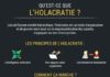 Psychology : Infographie : Qu'est-ce que l'Holacratie | Le Blog H2 University