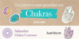 Psychology : Infographie résumant les correspondances des pierres avec les chakras.