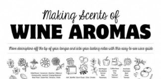 Psychology : Making Scents of Wine