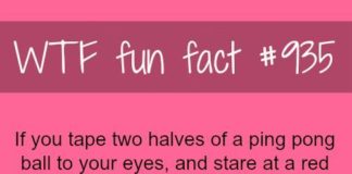 Psychology : Ping Pong Ball