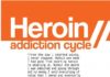 Psychology : Psychology : Heroin and Its Rapid Addiction Cycle