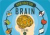 Psychology : Psychology : How Your Brain Stores and Processes Memories #Infographic
