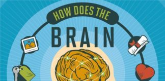 Psychology : Psychology : How Your Brain Stores and Processes Memories #Infographic