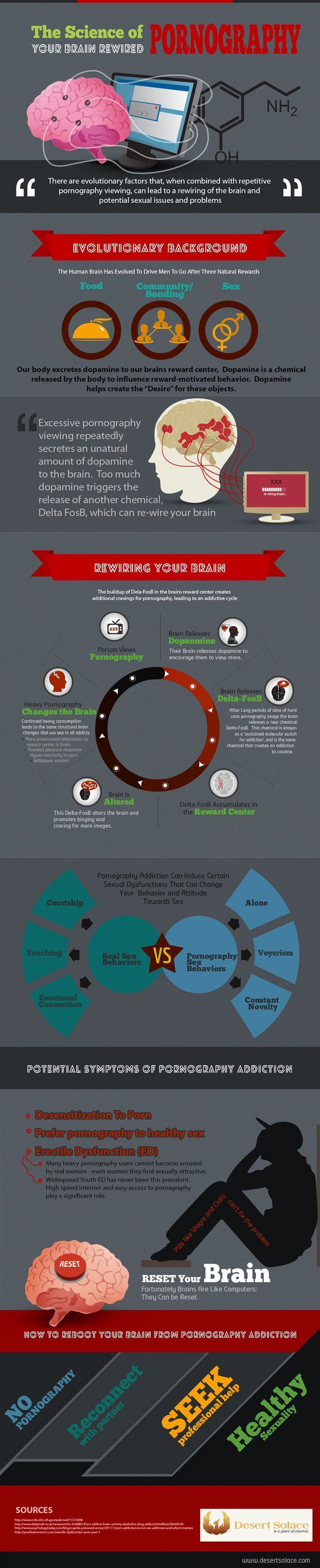 Psychology Psychology Psychology The Science Of Pornography Infographic Infographicnow