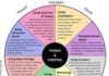 Psychology : Psychology : There are many types of emotional abuse as this wheel of abuse shows. #abuse #ab…