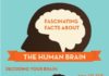 Psychology : Some Interesting New Info. YET, Some Info. Different than Other Sources🙃: Fas…