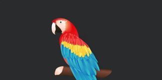 Psychology : This week’s colour theory lesson is on the primary colours. The primary colours …