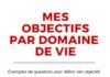 Psychology : VERSION CATHOLIQUE Infographie:Objectifs par domaine de vie