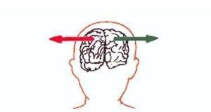 Psychology : left brain, right brain by judy