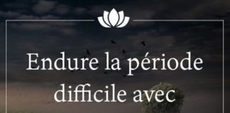 Psychology : les plus beaux proverbes à partager : les plus beaux proverbes à partager : E…