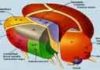 Psychology : the thalamus, its different nuclei and the parts of the brain to which they are …