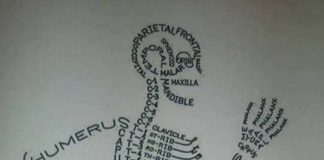 Science infographic –