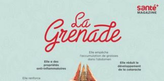 Science infographic – 4 Raisons de boire une infusion de pelures de grenade