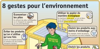 Science infographic – Afficher l'image d'origine