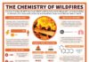Science infographic – An infographic describing wildfire combustion, the compounds produced, and their…