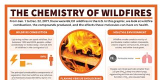 Science infographic – An infographic describing wildfire combustion, the compounds produced, and their…