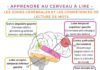 Science infographic – Apprendre au cerveau à lire : stratégies pour améliorer le décodage, la flui…