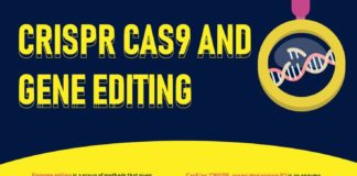 Science infographic – CRISPR Cas9 and Gene Editing Explained