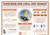 Science infographic – Chemical educator and Compound Interest blogger Andy Brunning reveals how sunscr…